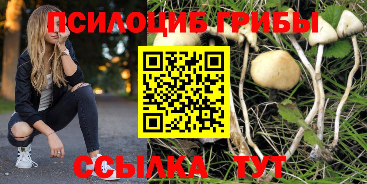 Псилоцибиновые грибы мицелий Коркино
